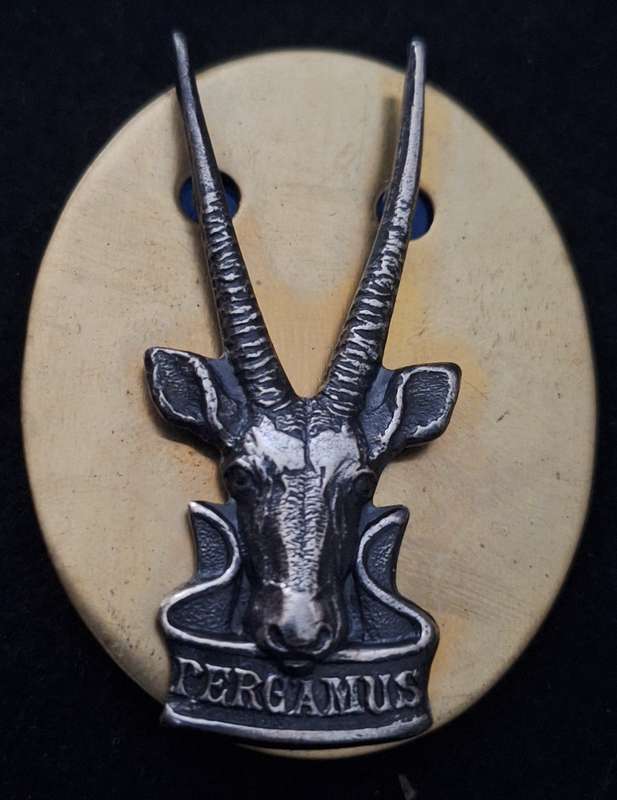 SWATF -  HQ CAP BADGE (LARGER TYPE) - SCREWS / PINS INTACT