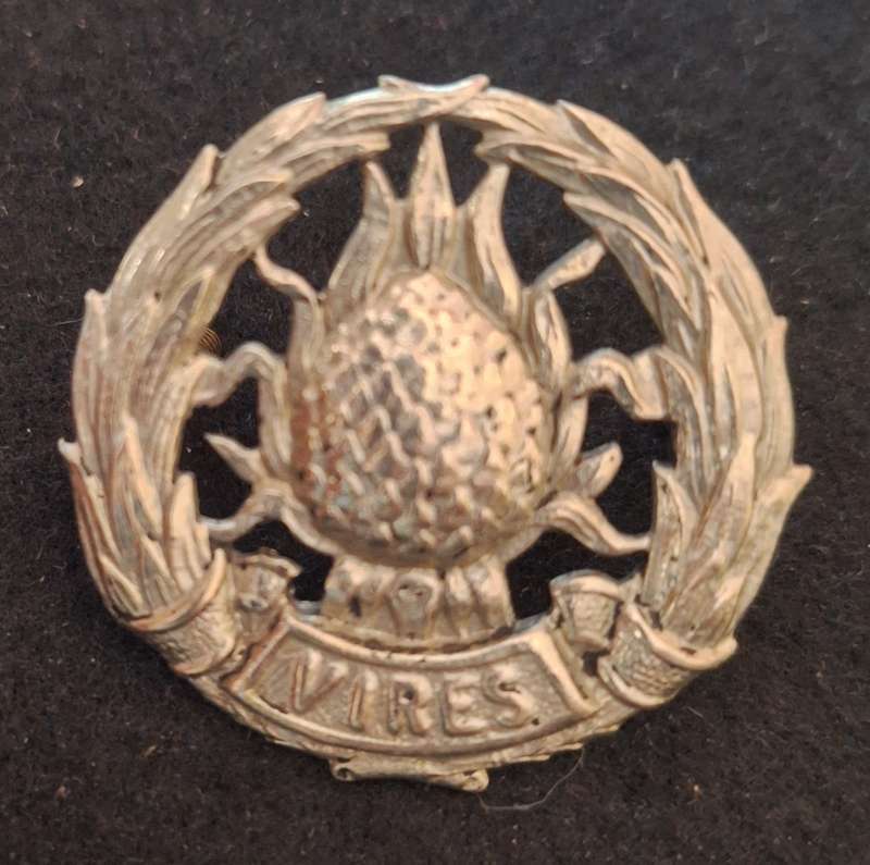 REGIMENT BOLAND BADGE -  SCREWS INTACT