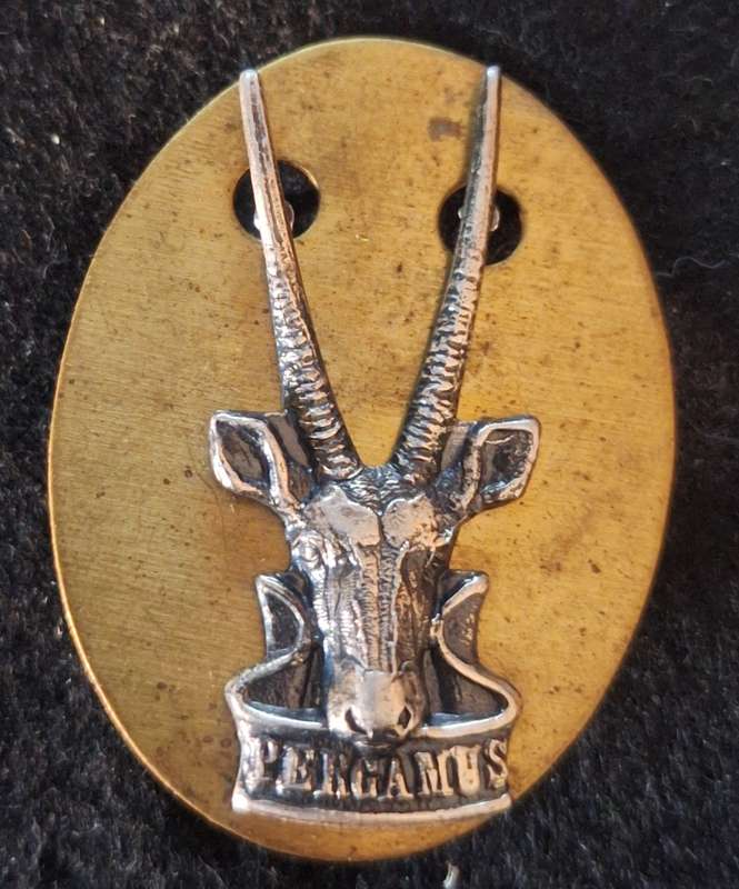 SWATF (SMALLER SIZE) HQ BERET BADGE - PINS / SCREW  INTACT
