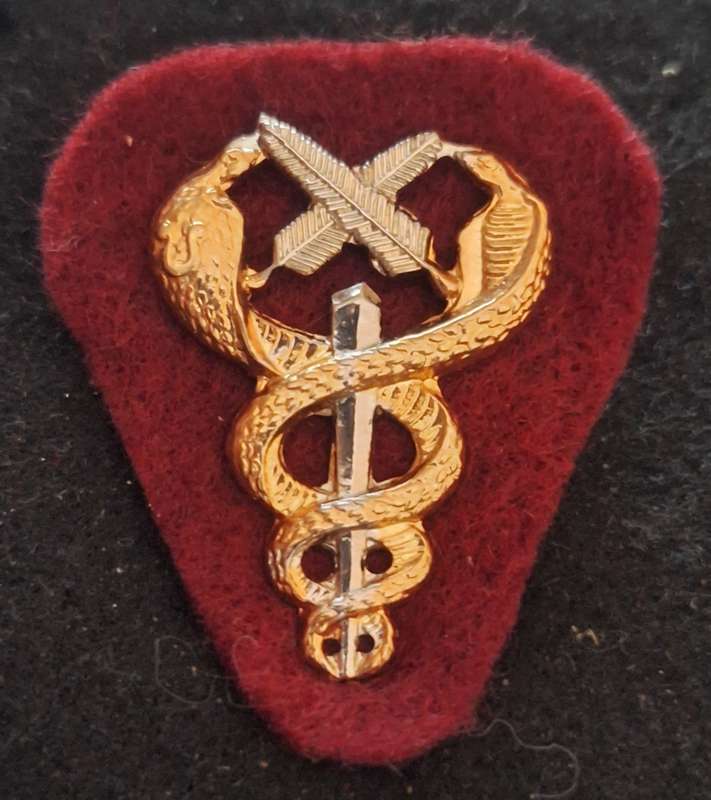 SADF - MEDICAL SERVICES ADMINISTRATIVE PERS. BREAST BADGE - PINS INTACT