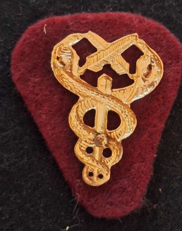 SADF - MEDICAL SERVICES ADMINISTRATIVE PERS. BREAST BADGE - PINS INTACT