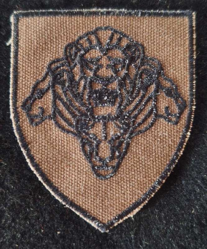 SADF / SANDF - NUTRIA PRIDE OF LIONS SHOULDER FLASH