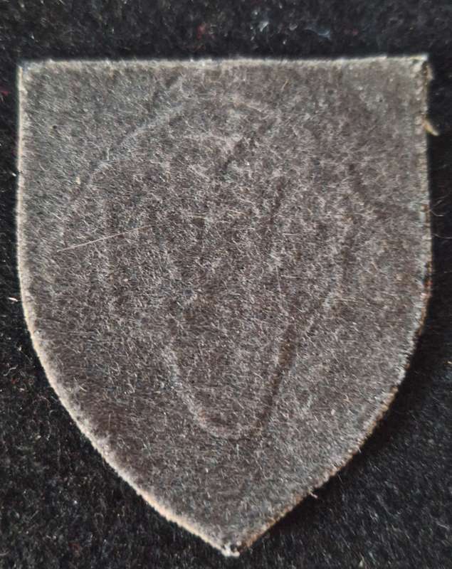 SADF / SANDF - NUTRIA PRIDE OF LIONS SHOULDER FLASH