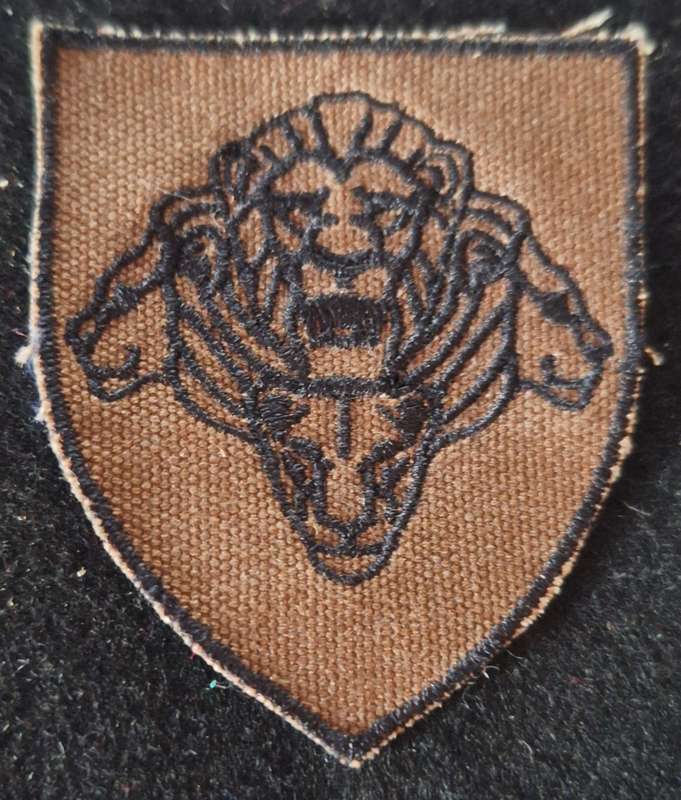 SADF / SANDF - NUTRIA PRIDE OF LIONS SHOULDER FLASH