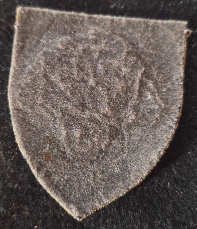 SADF / SANDF - NUTRIA PRIDE OF LIONS SHOULDER FLASH