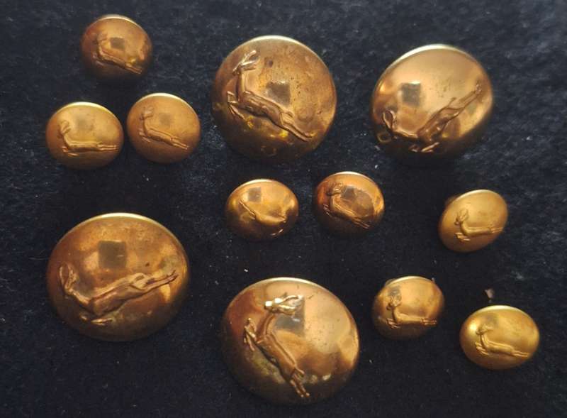 SADF GILDING STEPOUT DRESS BUTTON SET - SHANKS INTACT