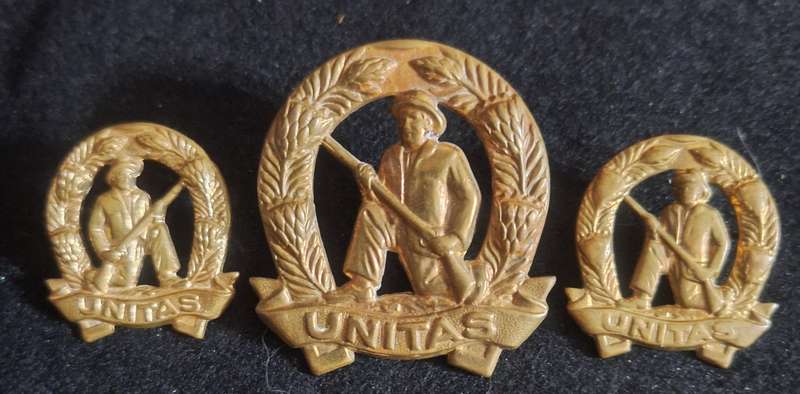 SADF - GILDING COMMANDO (UNITAS) CAP AND COLLAR BADGES SET - SCREWS / PINS INTACT