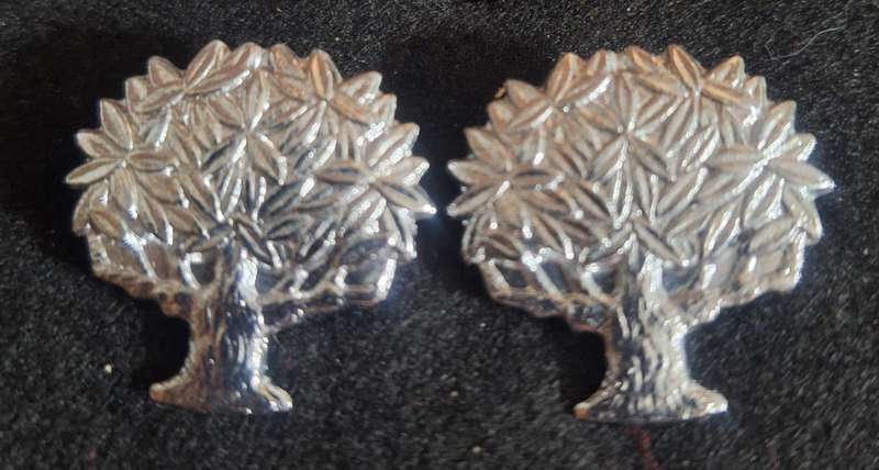 SADF REGIMENT VRYSTAAT COLLAR BADGES - PINS INTACT