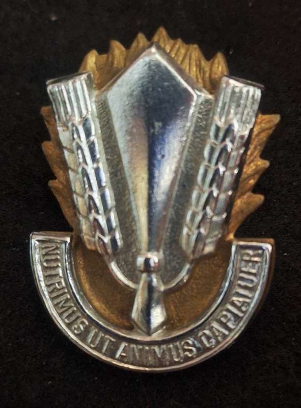 SADF Catering Corps Cap Badge - Screws Intact