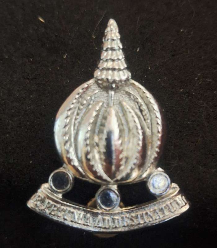 SADF - FINANCIAL SERVICES CAP BADGE - SCREWS INTACT