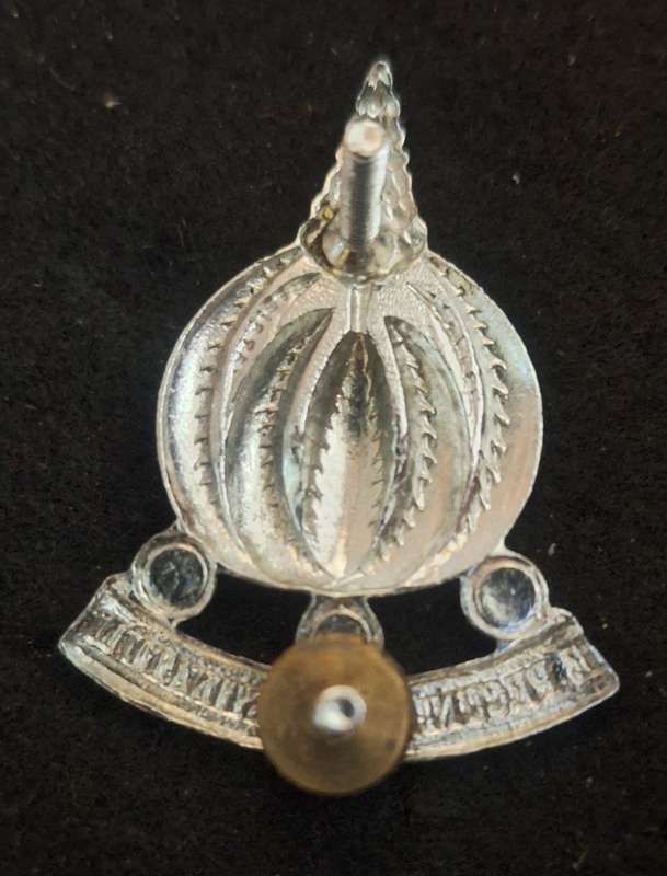 SADF - FINANCIAL SERVICES CAP BADGE - SCREWS INTACT