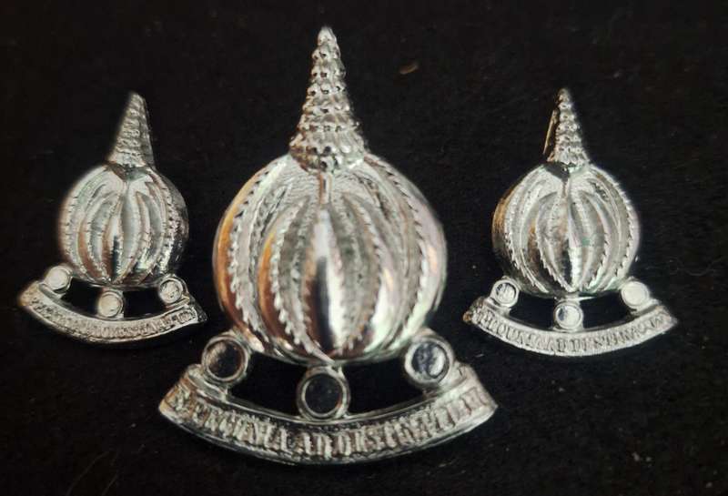 SADF - FINANCIAL SERVICES CAP AND COLLAR BADGES - PINS / SCREWS INTACT