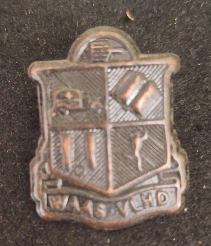 WW2 - WAAS (WOMAN AUXILARY AIR SERVICE) CAP/COLLAR BADGE - LUGS INTACT