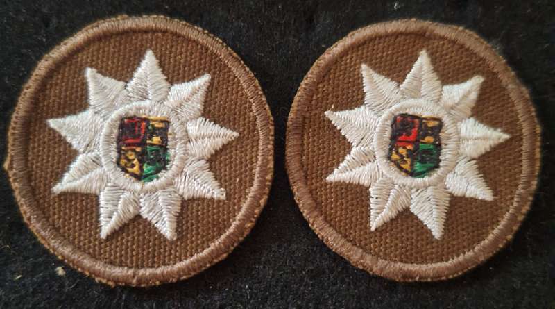 SADF NUTRIA  SEW ON 9 POINT STAR PIPS PAIR FOR NUTRIA S/SGT BRASSARDS.