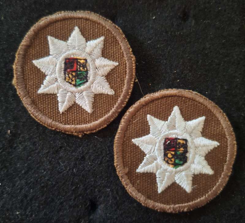 SADF NUTRIA  SEW ON 9 POINT STAR PIPS PAIR FOR NUTRIA S/SGT BRASSARDS.