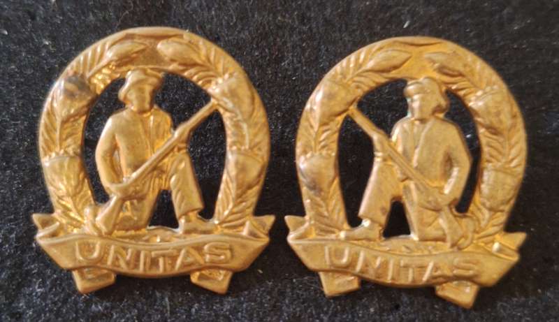 SADF - GILDING COMMANDO (UNITAS) COLLAR BADGES - PINS INTACT