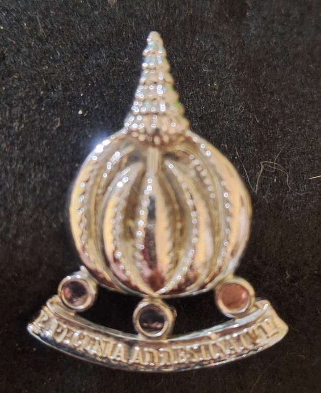 SADF - FINANCIAL SERVICES CAP BADGE - SCREWS INTACT