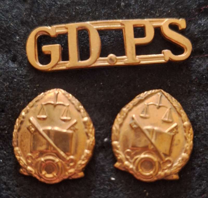 SA PRISON SERVICES COLLAR BADGES AND SHOULDER TITLE - PINS INTACT