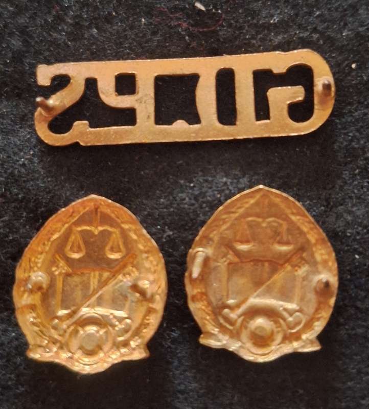 SA PRISON SERVICES COLLAR BADGES AND SHOULDER TITLE - PINS INTACT