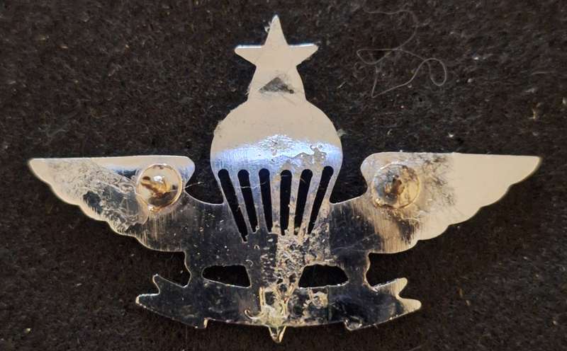 SINGAPORE - SENIOR PARACHUTIST - PINS INTACT