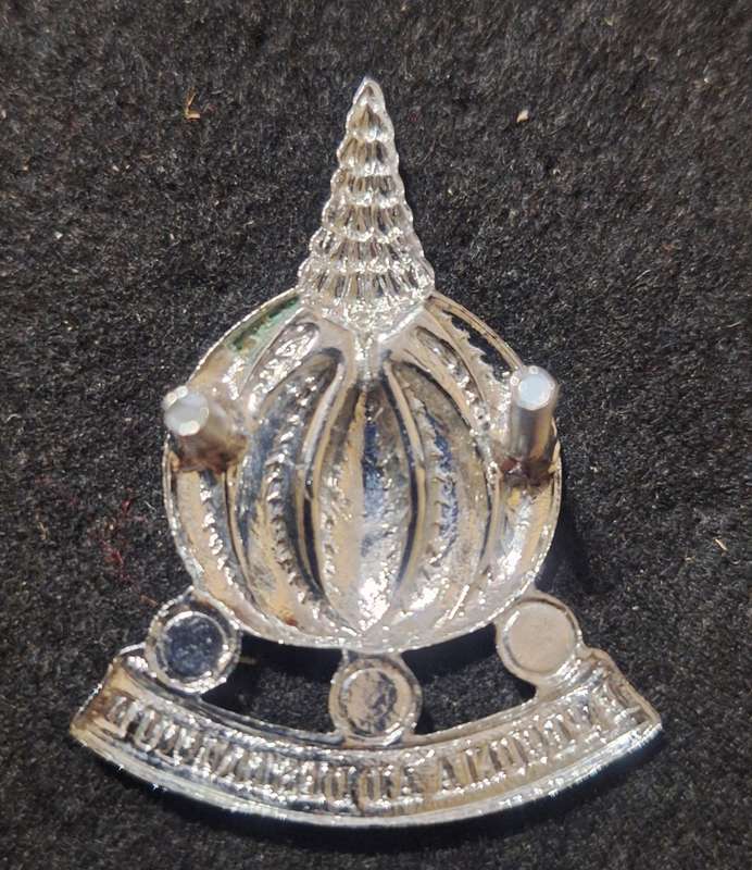 SADF - FINANCIAL SERVICES CAP BADGE - SCREWS INTACT