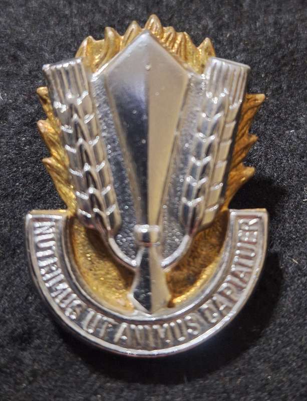 SADF CATERING CORPS CAP BADGE -  SCREWS INTACT