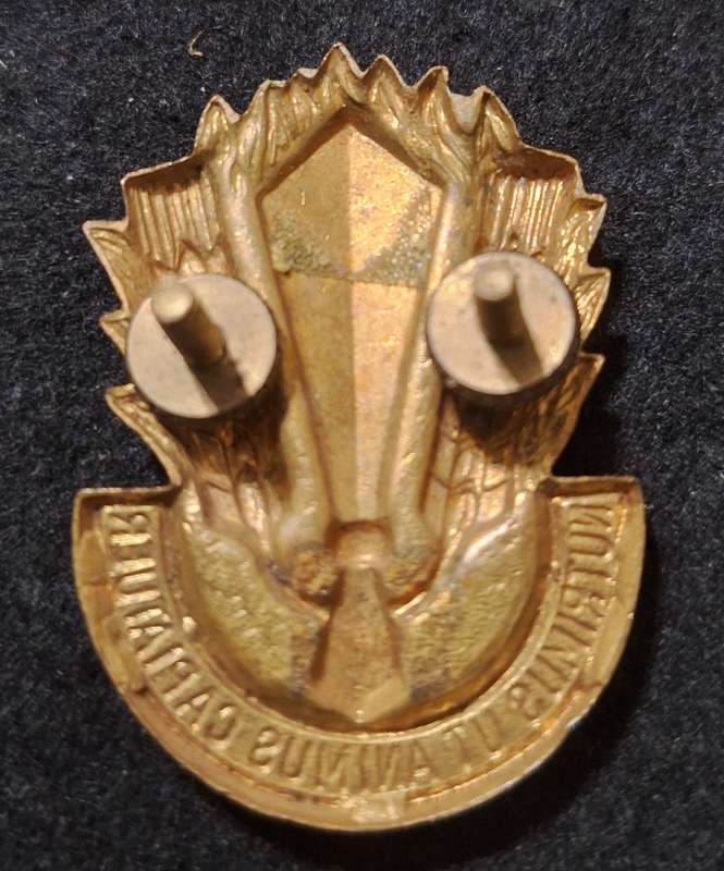 SADF CATERING CORPS CAP BADGE -  SCREWS INTACT