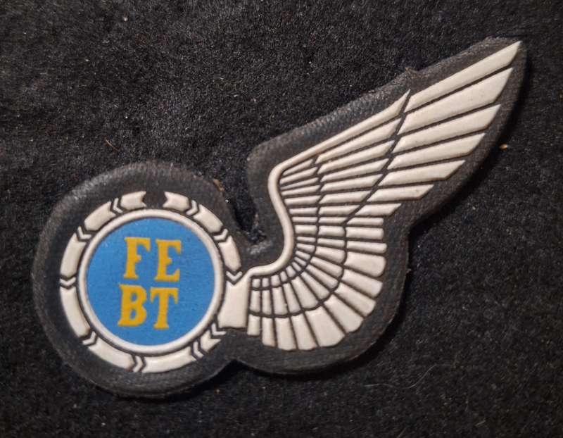 SAAF FE / BT HALF WING (RUBBER) - PINS INTACT