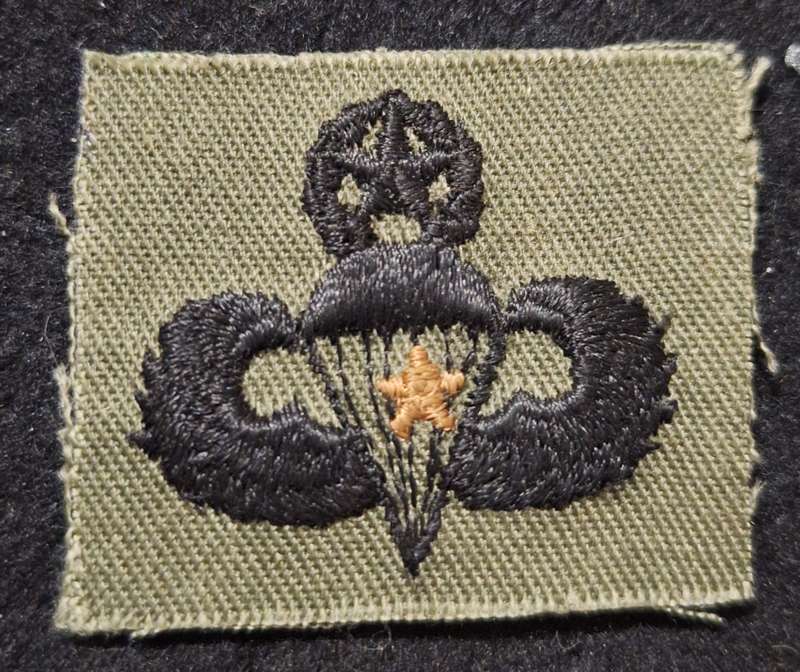 USA MASTER PARACHUTIST WITH COMBAT JUMP STAR (SEE PICS FOR CONDITION).