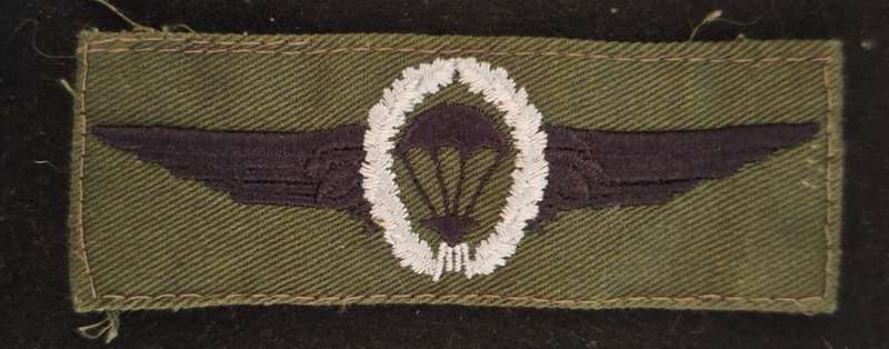 GERMANY - SENIOR PARA WING - FIELD DRESS