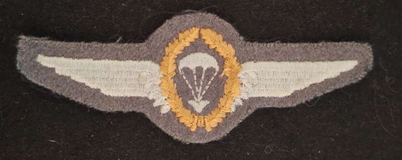 GERMANY - MASTER PARA WING