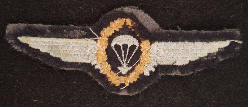 GERMANY - MASTER PARA WING