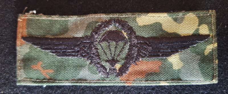 GERMANY - BASIC PARA WING - CAMO DRESS