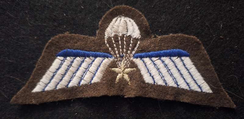 BELGIUM - SENIOR PARACHUTIST