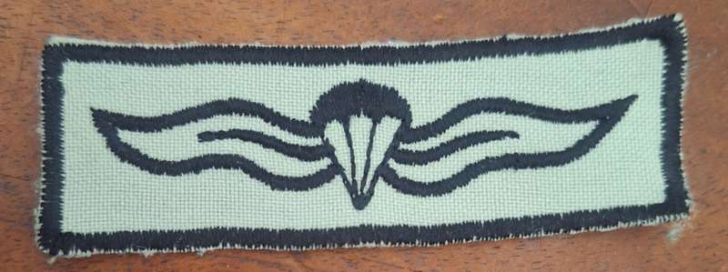 SADF / SANDF - EARLY INTERIM ERA EMBROIDERED BASIC PARA WING