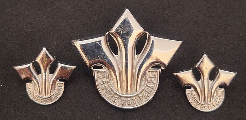SADF - CORPS OF PROFF OFFICERS CAP / COLLAR BADGES - PINS / SCREWS INTACT