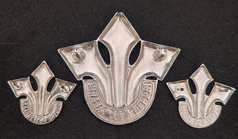 SADF - CORPS OF PROFF OFFICERS CAP / COLLAR BADGES - PINS / SCREWS INTACT