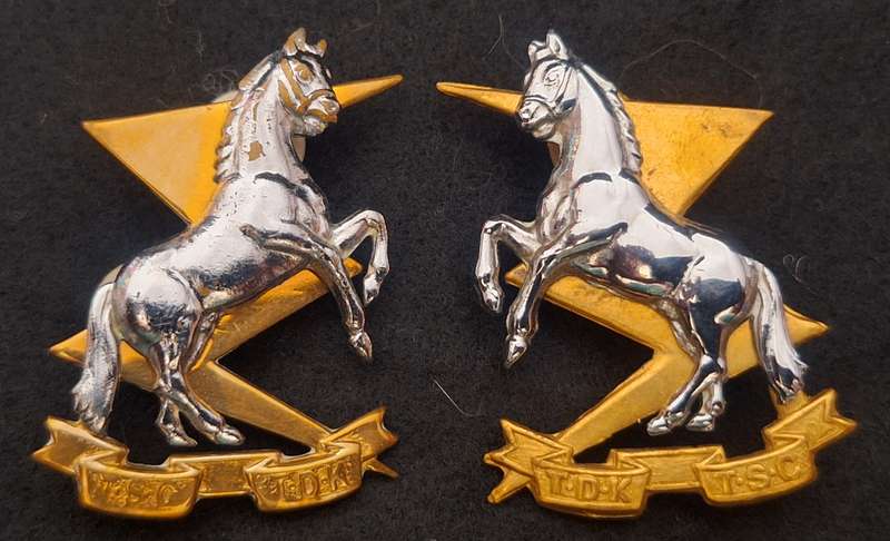SADF - TSC / TDK COLLAR BADGES - PINS INTACT