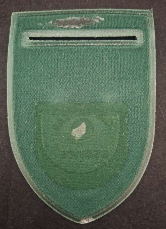 CORRECTIONAL SERVICES SHOULDER FLASH