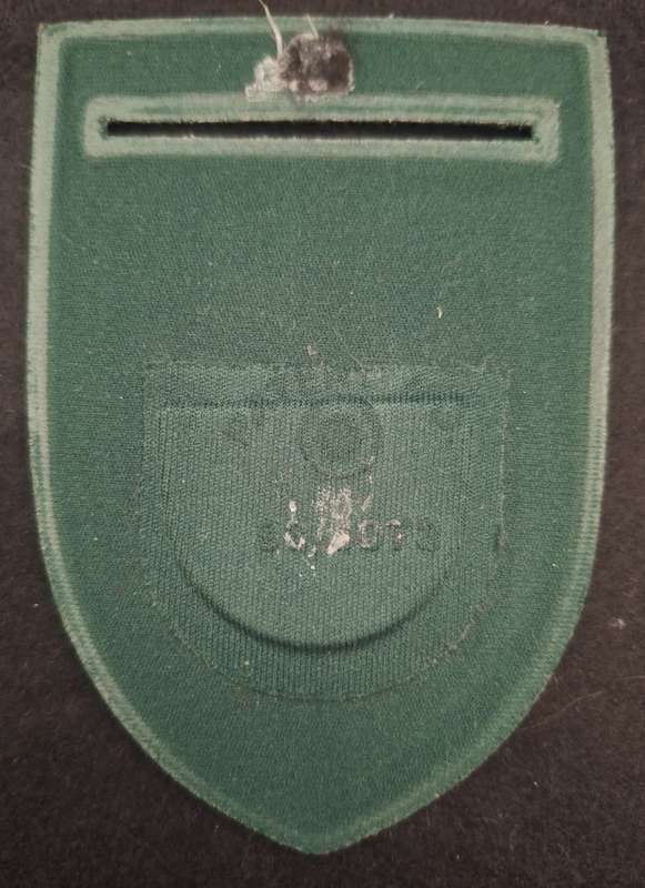 CORRECTIONAL SERVICES SHOULDER FLASH