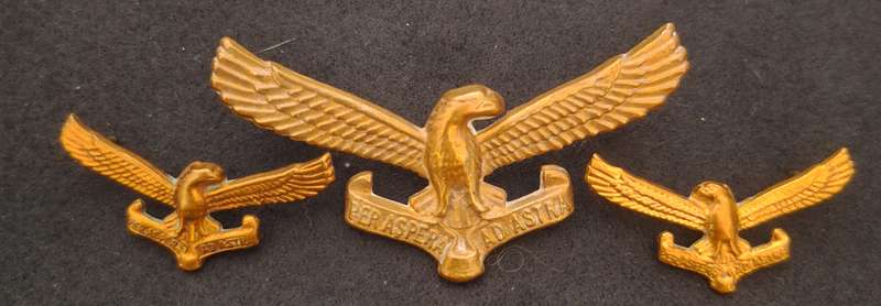 SADF - SAAF CAP AND COLLAR BADGES - ALL SCREWS AND PINS