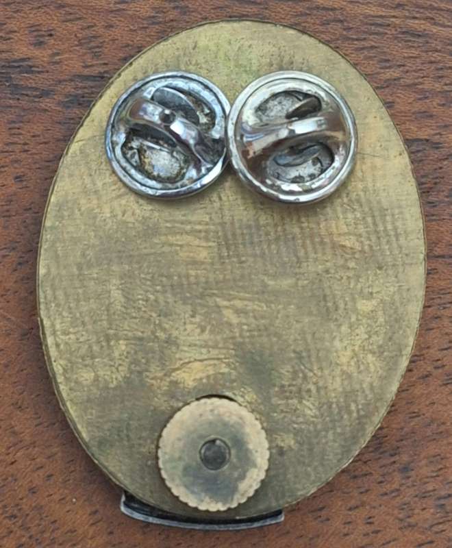SWATF (SMALLER SIZE) HQ BERET BADGE - PINS / SCREW  INTACT