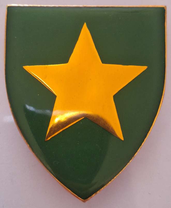 SADF - STELLELAND COMMANDO SHOULDER FLASH - PINS INTACT