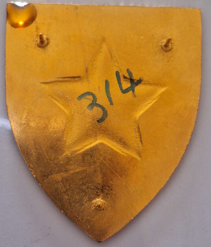 SADF - STELLELAND COMMANDO SHOULDER FLASH - PINS INTACT