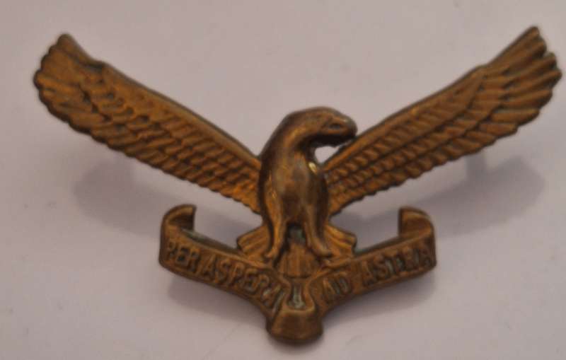 SAAF GILDING CAP BADGE - SCREWS INTACT