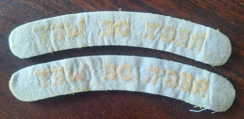 SADF REGT. DE WET CLOTH SHOULDER TITLE PAIR