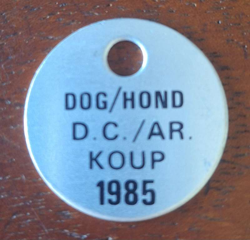 VINTAGE 1985 DOG LICENCE - KOUP