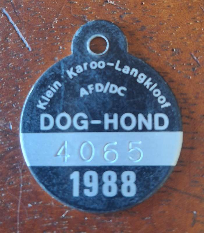 VINTAGE 1988 DOG LICENCE - LANGKLOOF