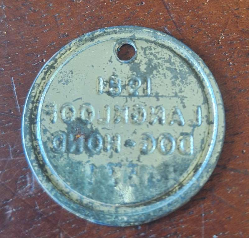 VINTAGE 1981 DOG LICENCE - LANGKLOOF