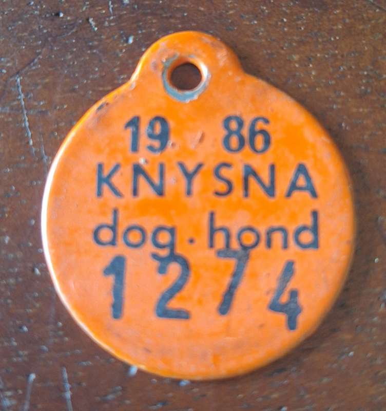 VINTAGE 1986 DOG LICENCE - KNYSNA